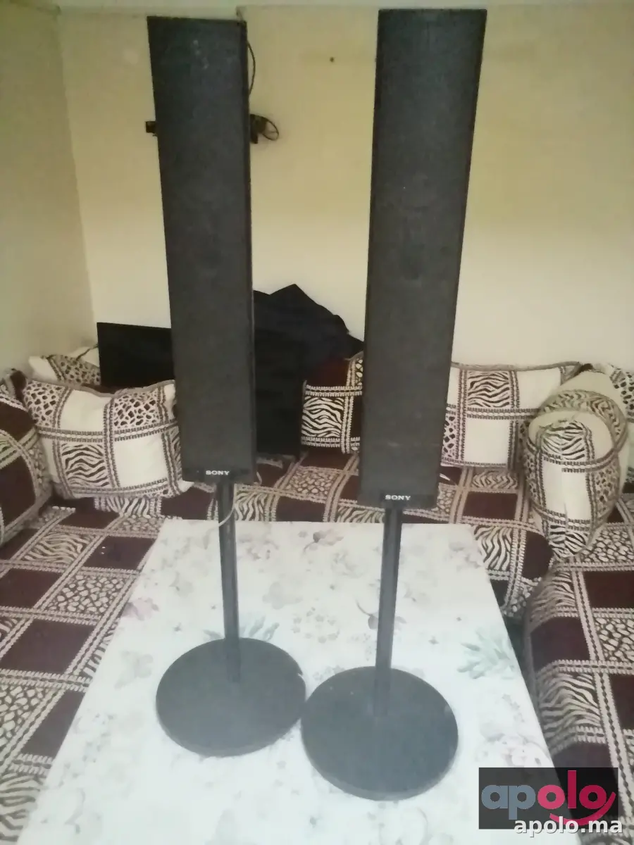 مكبر صوت sony
