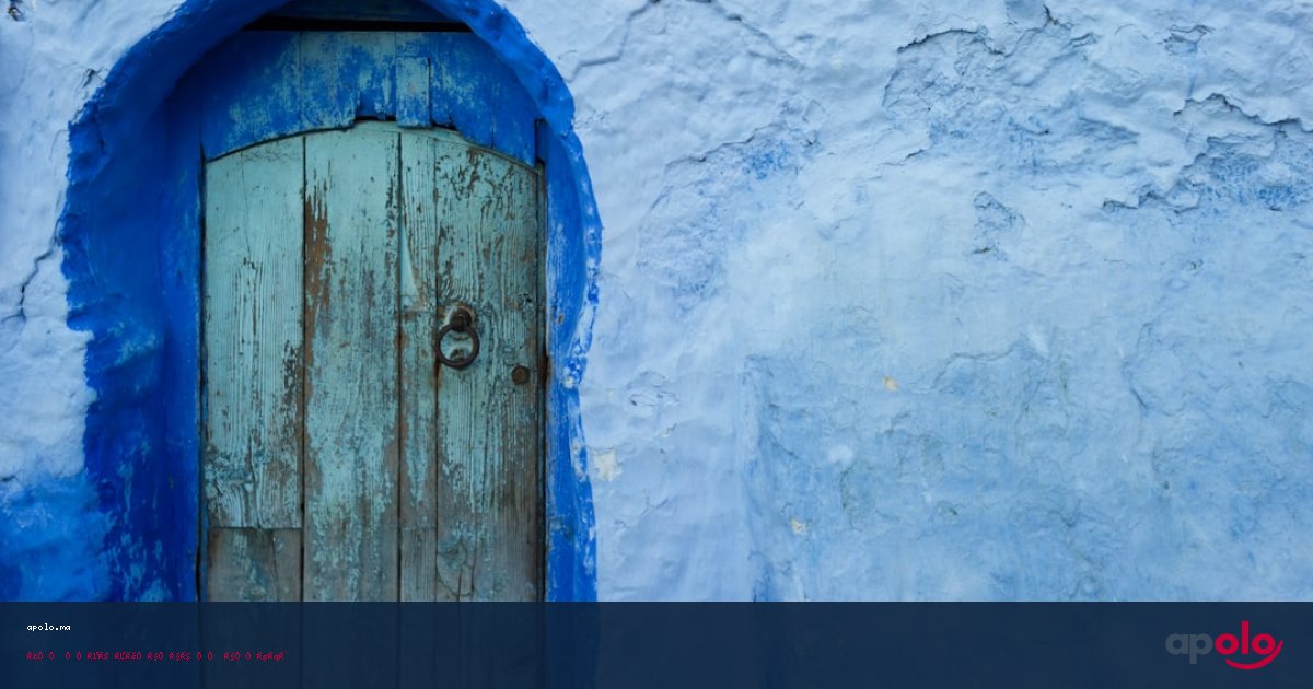 نظرة على نبض السوق المغربي: تحديثات وأخبار تهم كل مواطن