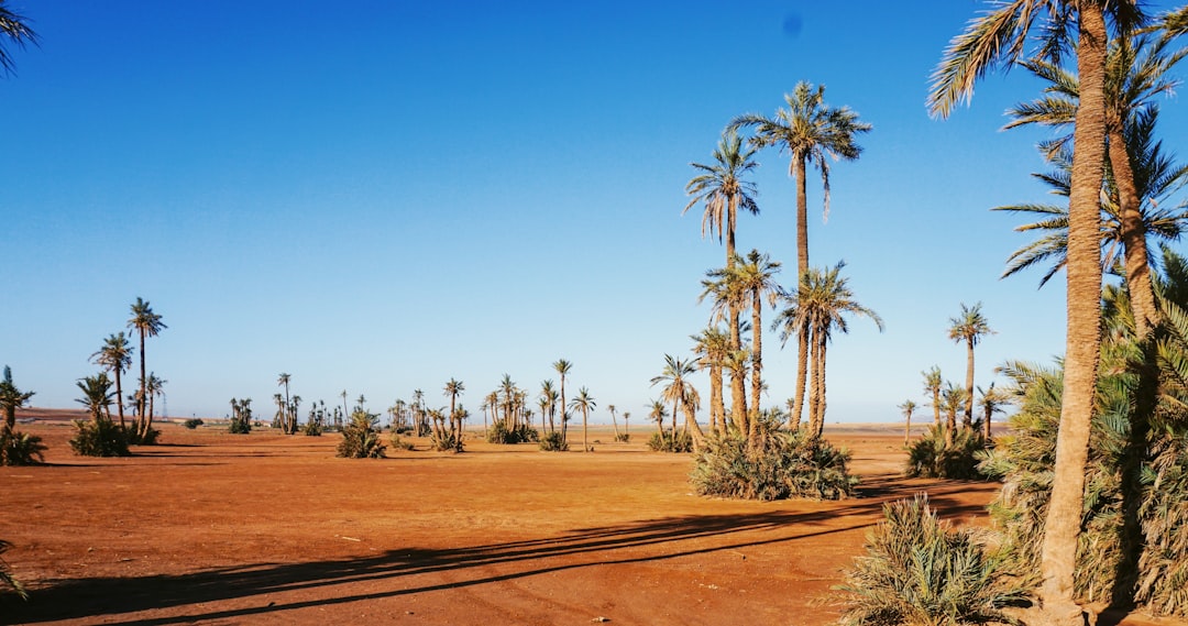 أفضل السيارات المستعملة في المغرب بأقل من 50000 درهم